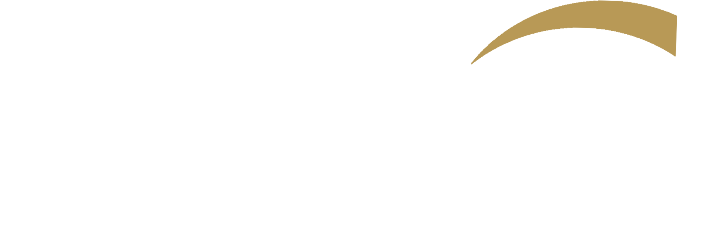 light logo